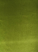 Taboo Kale Velvet P Kaufmann Fabric
